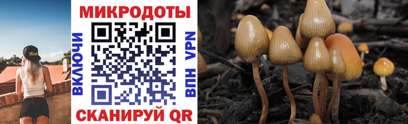 Галлюциногенные грибы ЛСД  omg как войти  Нестеровская  наркотики 